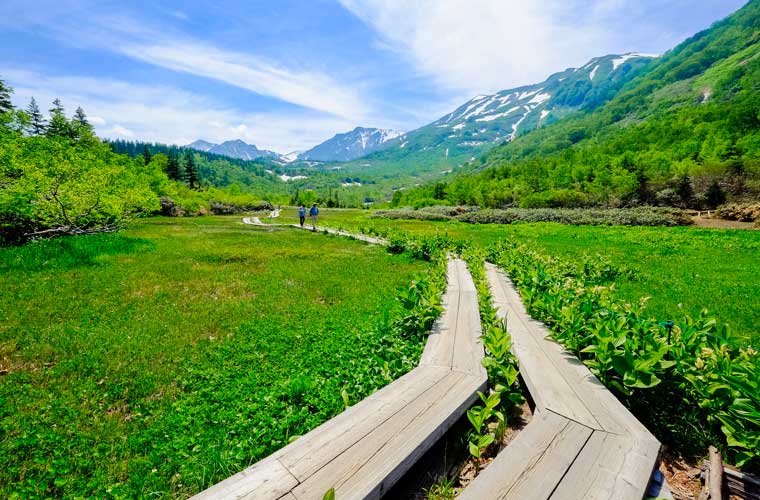 Image of Tsugaike - Nagano